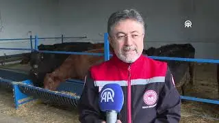📍Ankara - 11 Aralık 2025 Perşembe - 10:00