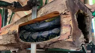 Sawing a 90 foot log