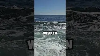 How Ocean Currents Control Climate 🌍🌊 || #sciencefacts #climatefacts @VerifexFacts
