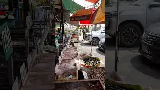 ตลาดกลางอยุธยา