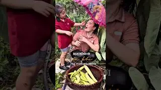 hahahi - Người Con Hiếu Thảo | H&agrave; H&agrave; H&iacute; Shorts | #shorts