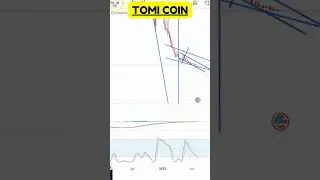 TOMI Coin Chart Patterns You Must See!