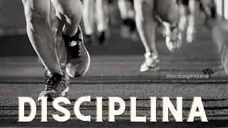 Disciplina