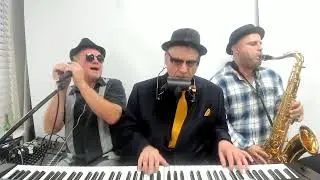 Bloodhound Tax Blues