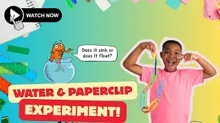 Sink or Float : A Paper Clip and Water Experiment | DJ's Circle