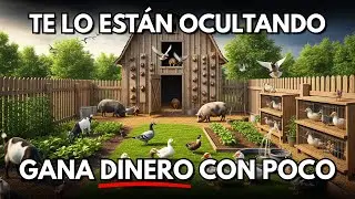 7 Animales M&aacute;s RENTABLES para Criar en 1 Terreno Peque&ntilde;o (Sin Rancho, Poca Agua)