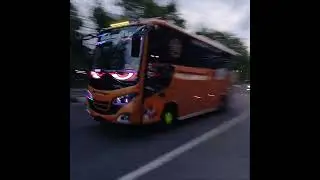 #busmania #basuri #2025 #buspariwisata