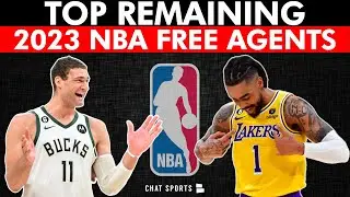 Top 15 NBA Free Agents Left AFTER Day 1 Of NBA Free Agency Ft. Brook Lopez & D&rsquo;Angelo Russell