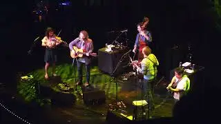 Jeff Tweedy & Nickel Creek - Forget The Flowers (Wilco) LIVE - Cayamo 17 (Mar 3, 2025)