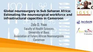 IGSS2020: Estimating the neurosurgical workforce and infrastructural capacities in Cameroon