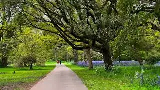 Mindful Walking Through Kew Gardens' Bluebells & Camassias #MindfulWalking #KewGardens #NatureBeauty