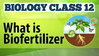 What Is Biofertilizer - Microbes in Human Welfare - Biology Class 12