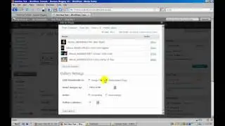 WordPress Tutorial - Where is Insert Image Into Post Button - Add Image Gallery