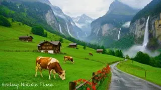 Calming Music to Restore the Nervous System🌿Healing Music & Nature Soundscape for Deep Relaxation