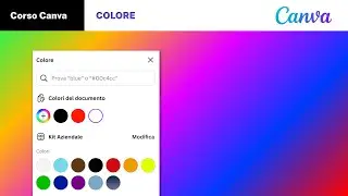COLOR and manage colors with Canva