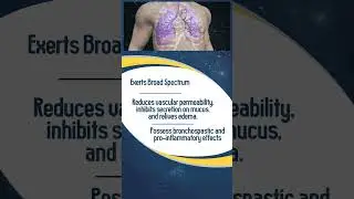 Introducing Breemax-LD Respules &ndash; your upcoming ally in the fight against COPD and asthma.