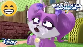 Nasıl Neşeli Olunur?😄😃 | Bingo ve Roli'nin Maceraları | @DisneyPlusTR