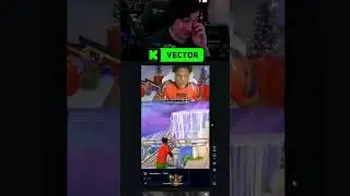 WHAT MOMO PLAYS