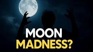 Lunar Legends: Does the Full Moon Really Affect Human Behavior?