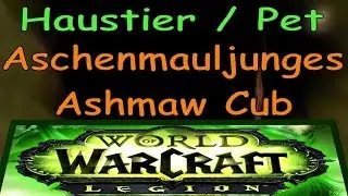 WoW - Pet - Aschenmauljunges / Ashmaw Cub | Val'sharah