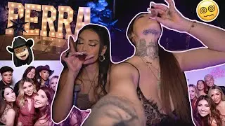THE PERRRRRA PARTY!! *LIT* 🥳🤪🎂🙈