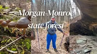 Morgan-Monroe state forest //mason ridge trail and shelter rock