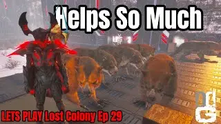 Creating Our ULTIMATE Kibble Farm - Lost Colony - Ark Ascended - EP 29