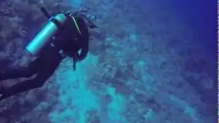 Scuba-Adriatic @ Red Sea Diving College, January 2014