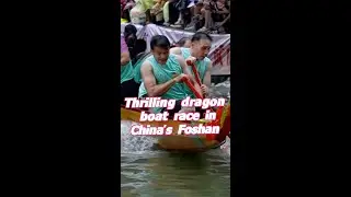Thrilling dragon boat race in China's Foshan