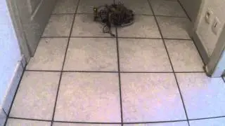 Prototype Robot aspirateur Version 2.0