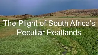 02 February: World Wetlands Day.