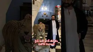Saif Ali Khan Knife Attack 😱 పటౌడీ నవాబు గురించి ఆసక్తికర విషయాలు! #SaifAliKhan #Bollywood