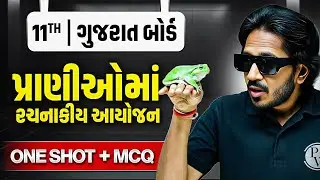 પ્રાણીઓમાં રચનાકીય આયોજન in Gujarati🪲| ONE SHOT BIOLOGY🔥| Class 11/GSHSEB