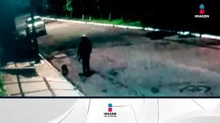 Por pasear a un perro detuvieron a banda internacional de criminales | Noticias con Francisco Zea