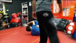 陳式太極拳-摔法運用