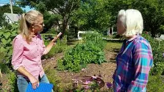The Winter Pollinator Garden