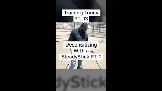 Desensitizing With a SteadyStick