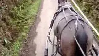 Sliding shafts horse carriage