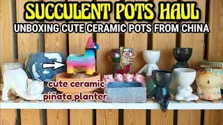 BEAUTIFUL SUCCULENT POTS HAUL || Unboxing Ceramic Pots for our Succulents &bull; Succulents in China Vlog