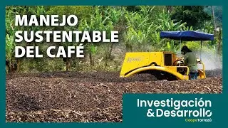 Proyecto Manejo sustentable de los subproductos del café