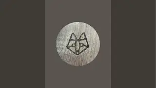 CaninaeCreative is live!