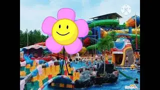 Captain alpha pig live music kids song by hooplakidz 