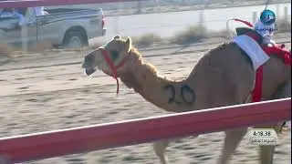 شوط 10