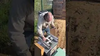 Apiculture et balance connect&eacute;e. D&eacute;ballage, installation, gestion et code promo !