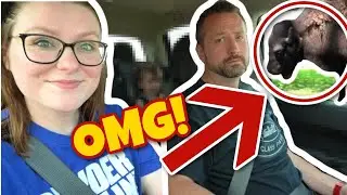 THE MOST INSANE TRAFFIC JAM EVER 🦌 | Vlog | Fourth of July at Lone Elk Park!