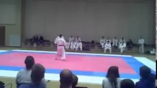 Olathe Karate Academy - Jujitsu Demonstration by Kyoshi Palmer