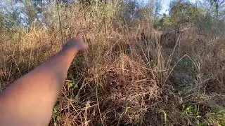 Angry Ecologist / Mercy Missions