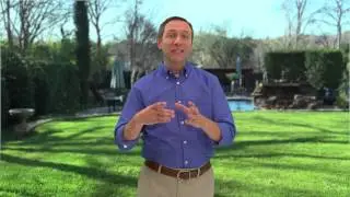 How to Apply Ant Bait Outdoors - DIY Pest Control