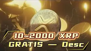 XRP RIPPLE &iexcl;&iexcl;&Uacute;LTIMA HORA XRP!! &iexcl;&iexcl;&iexcl;HOY ES UN DIA IMPORTANTE HOLDERS!! #xrp #ripple #xrpnews #bitcoin