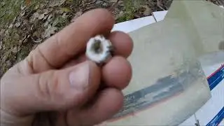 Magtech Guardian Gold .45 ACP 230GR +P JHP Gel test